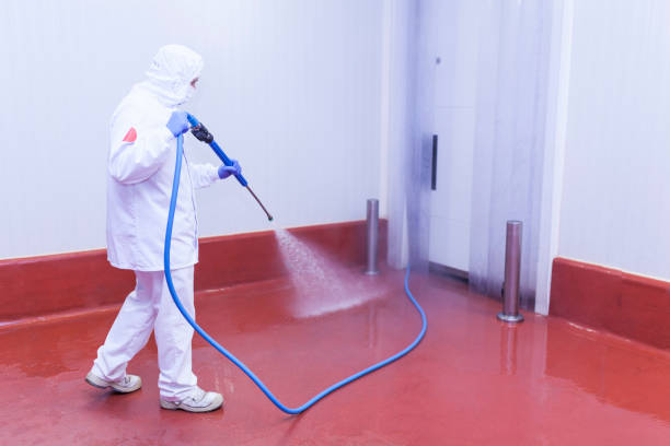  Concordia, NJ Pressure Washing Pros